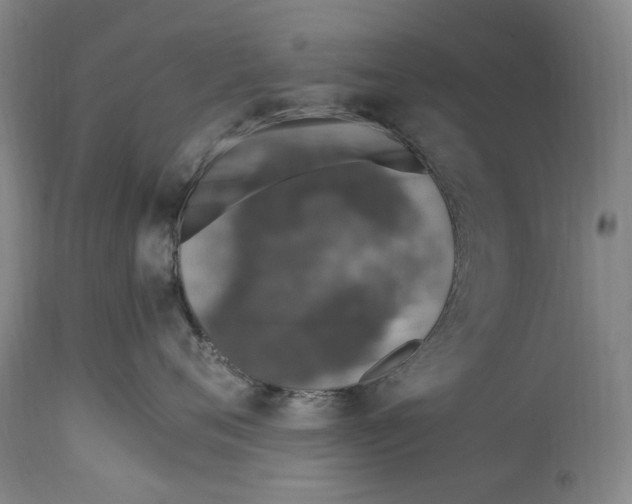 X0000114600720200911161354