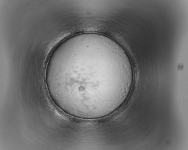 X0000114600721200911161353