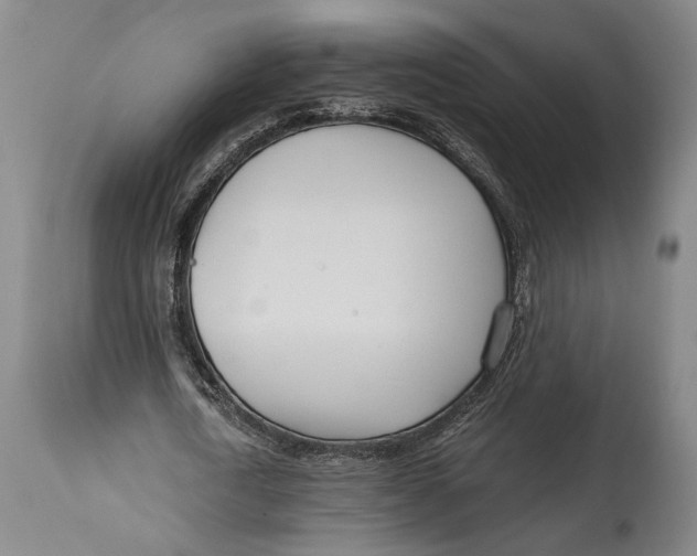 X0000114600722200911161353