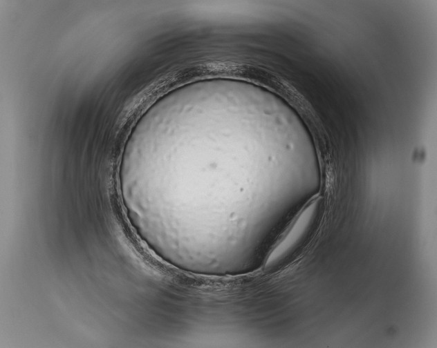 X0000114600725200911161353