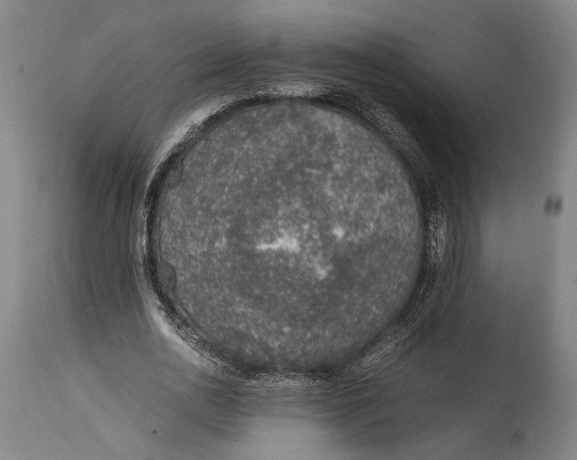 X0000114600726200911161353