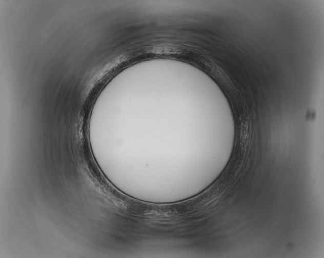 X0000114600727200911161353