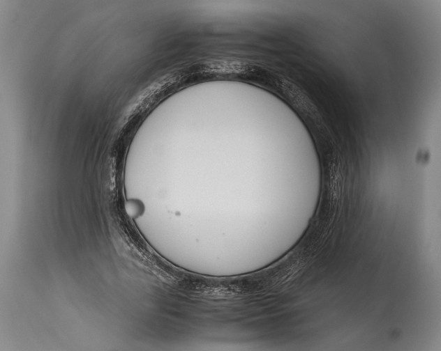 X0000114600731200911161353