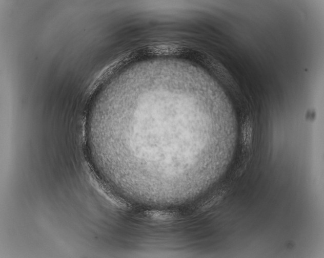 X0000114600733200911161353