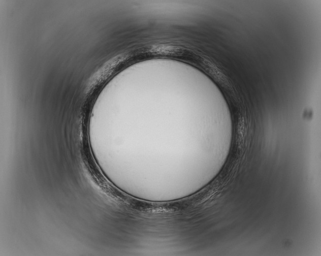 X0000114600734200911161353