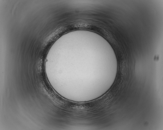 X0000114600735200911161353