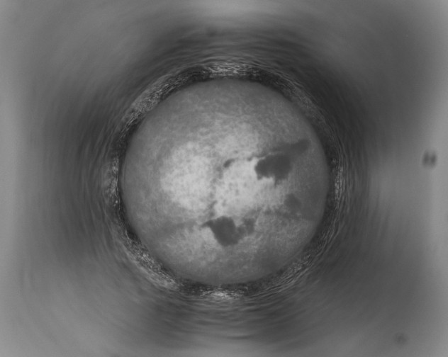 X0000114600737200911161353