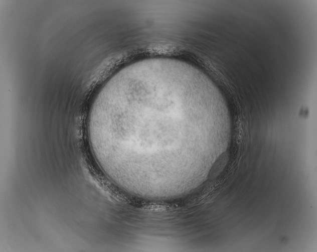 X0000114600738200911161353