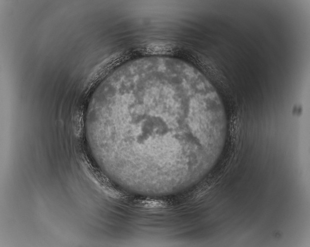 X0000114600741200911161353