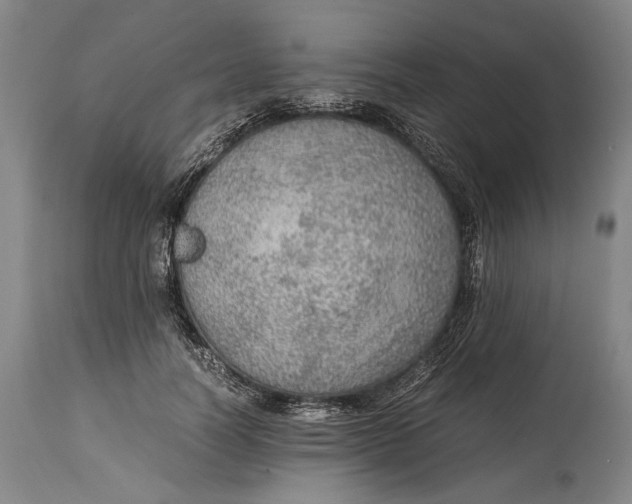 X0000114600746200911161354