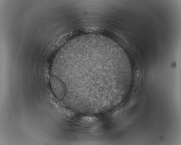 X0000114600749200911161354