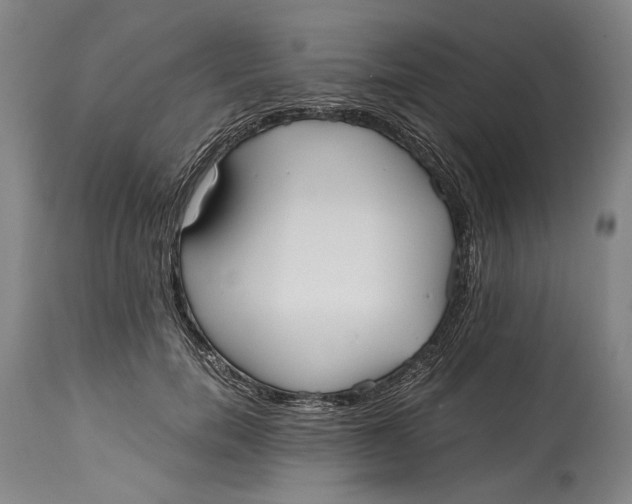 X0000114600750200911161354