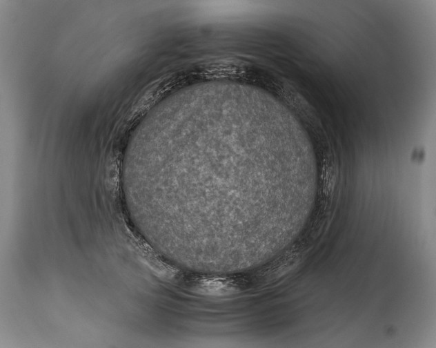 X0000114600753200911161354