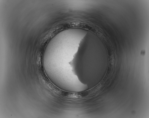 X0000114600754200911161354