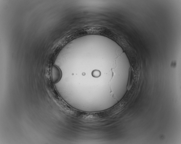 X0000114600755200911161354