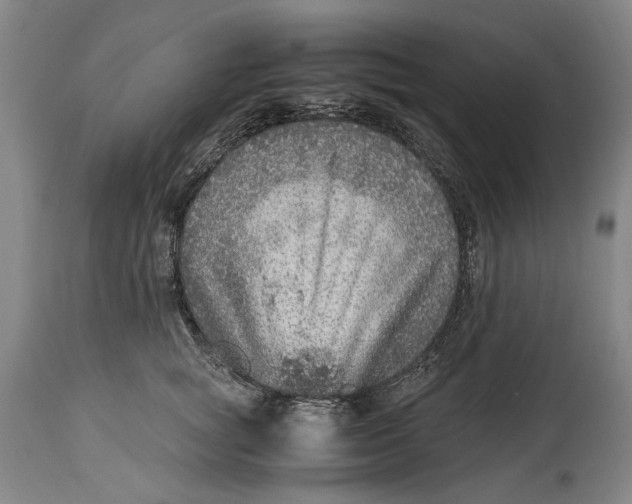 X0000114600757200911161354