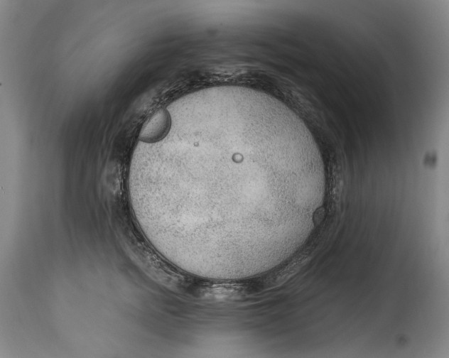 X0000114600758200911161354