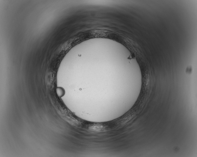 X0000114600759200911161354