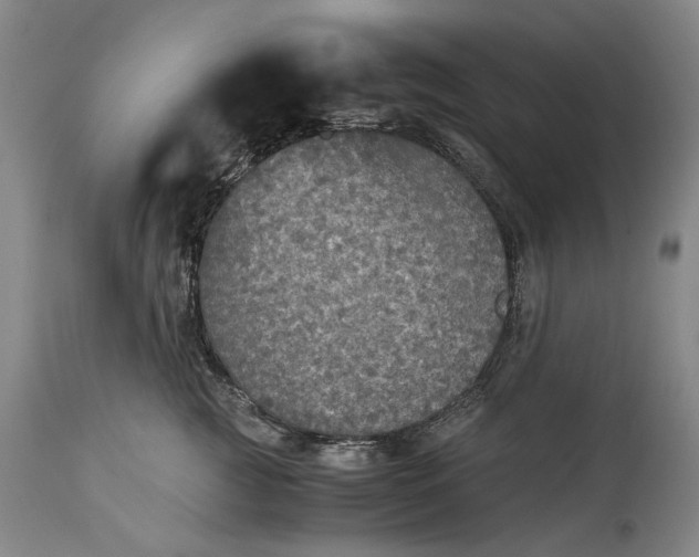 X0000114600761200911161354