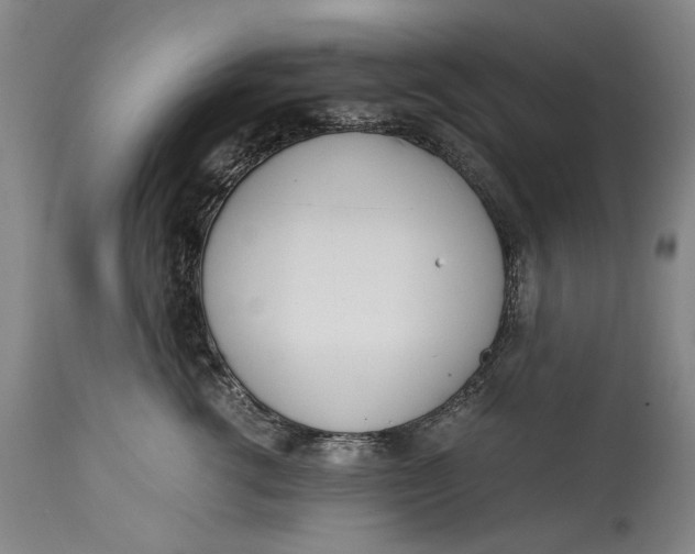 X0000114600762200911161354