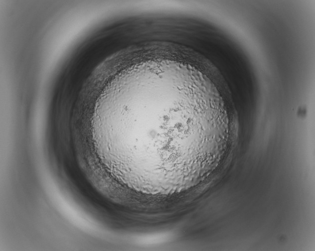 X0000114600765200911161354