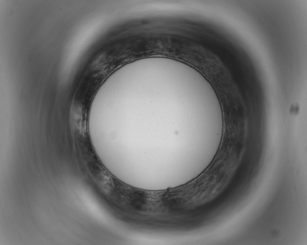 X0000114600766200911161354