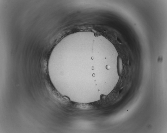 X0000114600767200911161354