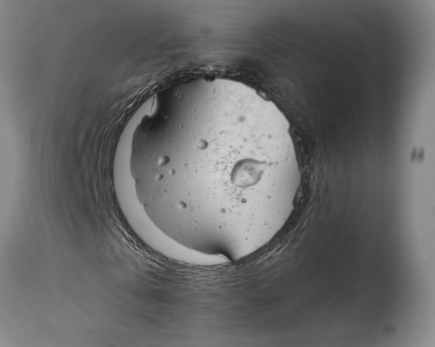 X0000114600769200911161353