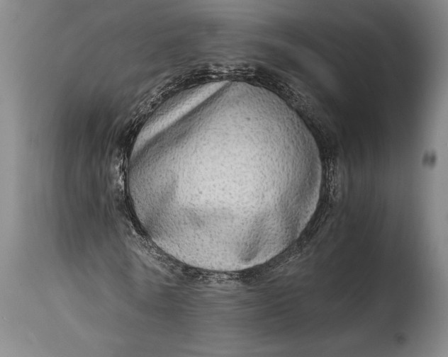 X0000114600770200911161353