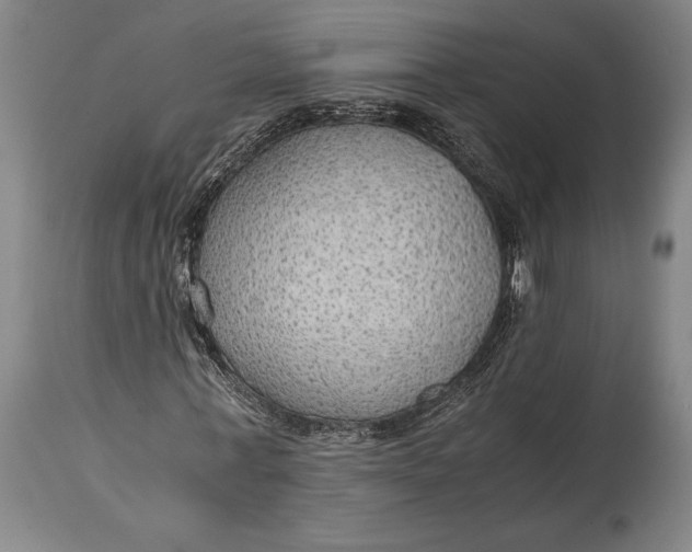 X0000114600771200911161353