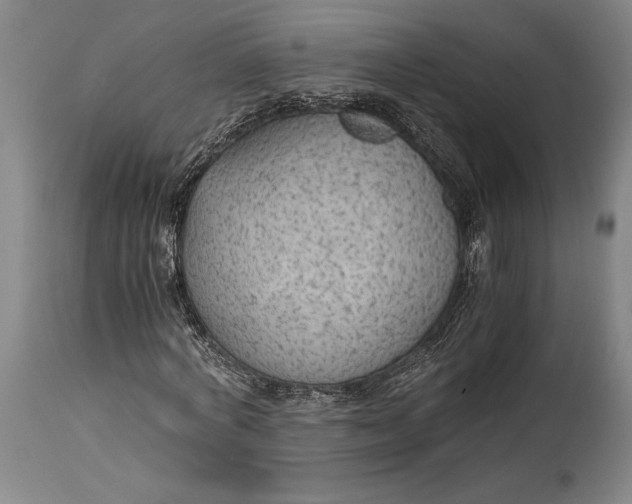 X0000114600772200911161353