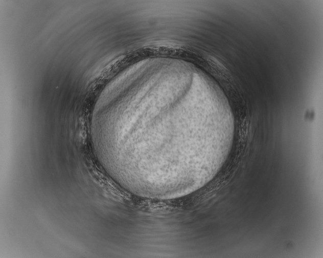 X0000114600774200911161353