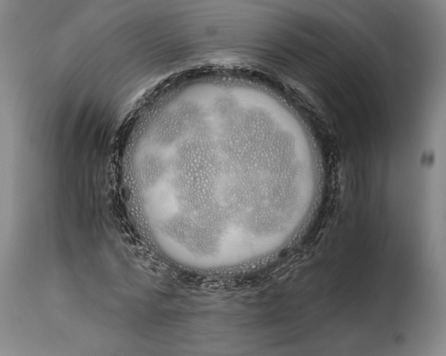 X0000114600776200911161353