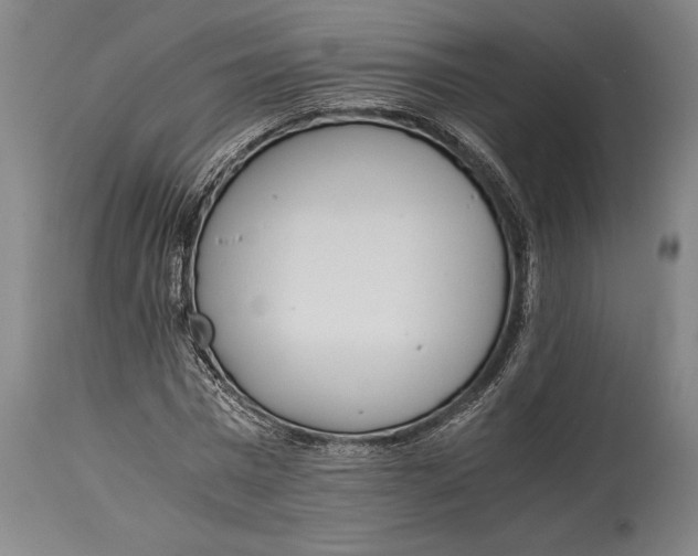 X0000114600777200911161353