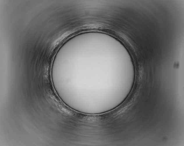 X0000114600778200911161353