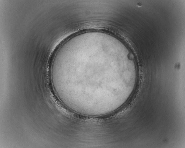 X0000114600779200911161353