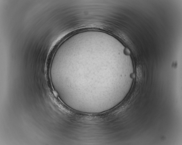 X0000114600780200911161353