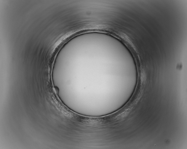 X0000114600781200911161353