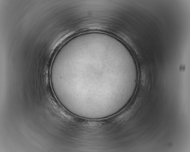 X0000114600782200911161353