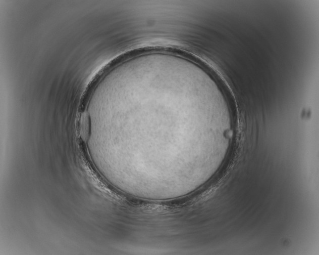 X0000114600783200911161353