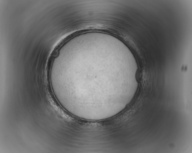 X0000114600784200911161353