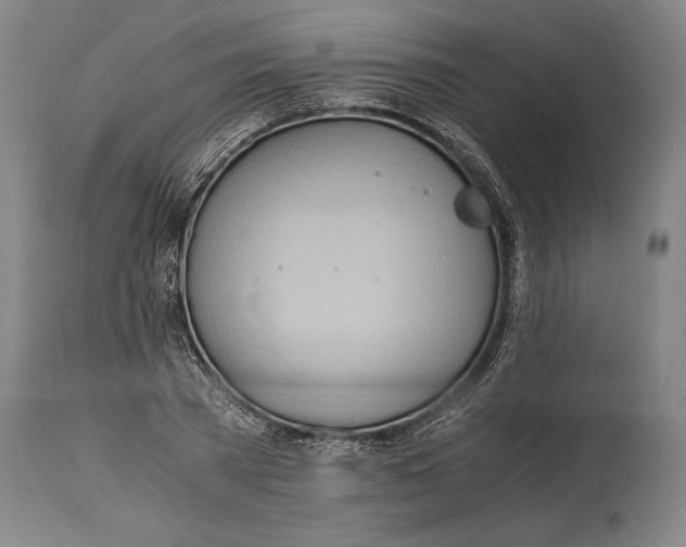 X0000114600785200911161353