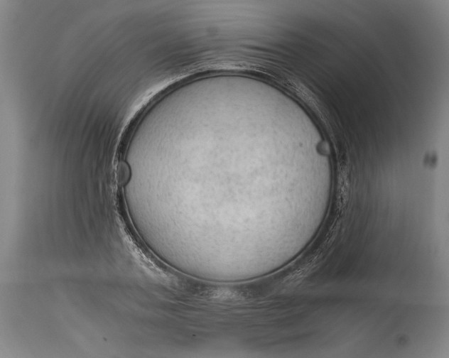 X0000114600787200911161353