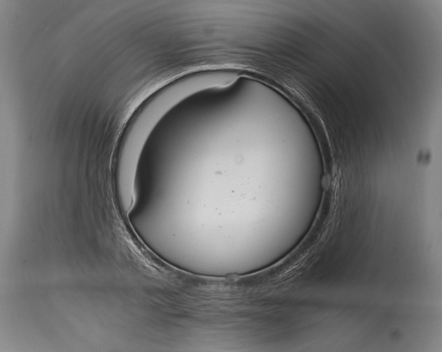 X0000114600789200911161353