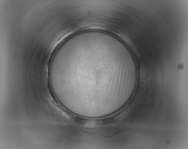 X0000114600790200911161353