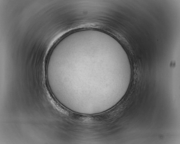 X0000114600792200911161353