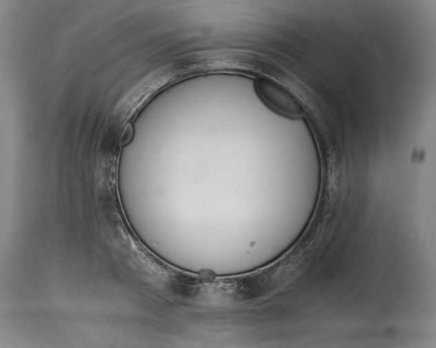 X0000114600793200911161353