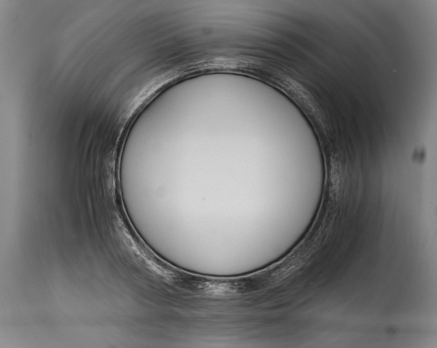 X0000114600794200911161353