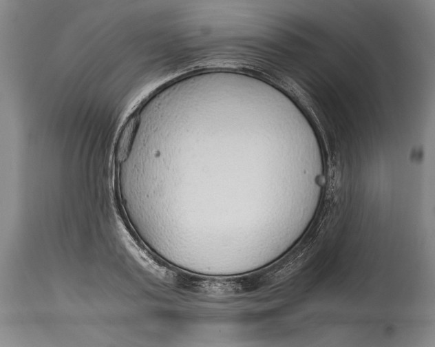 X0000114600795200911161353