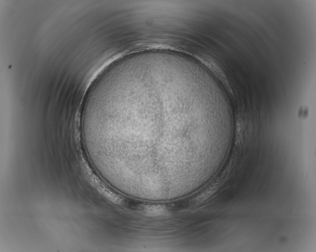 X0000114600798200911161353